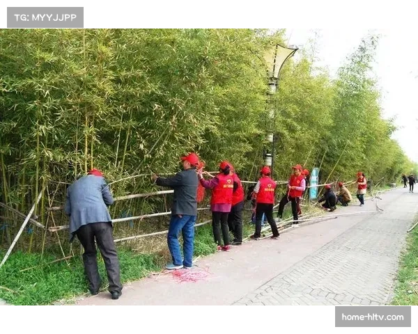 绿色体育：赛事运营中的环保创新与品牌责任提升