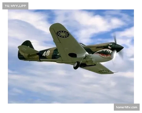 鲨鱼队防守反击战术奏效 客场击败喷气机展现团队执行力